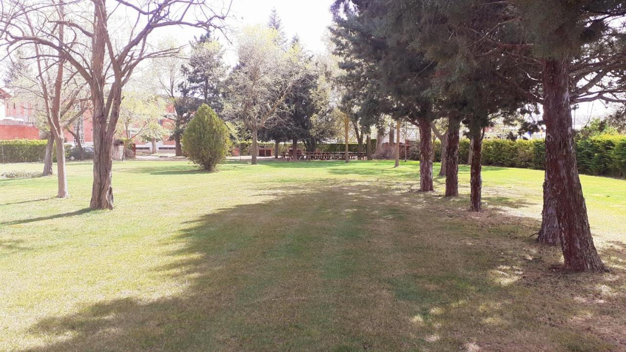 Residencia Diego Martinez 팔렌시아 외부 사진
